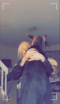 The Palm beach pet sitter - Photo 5 - Car repair in , West Palm Beach