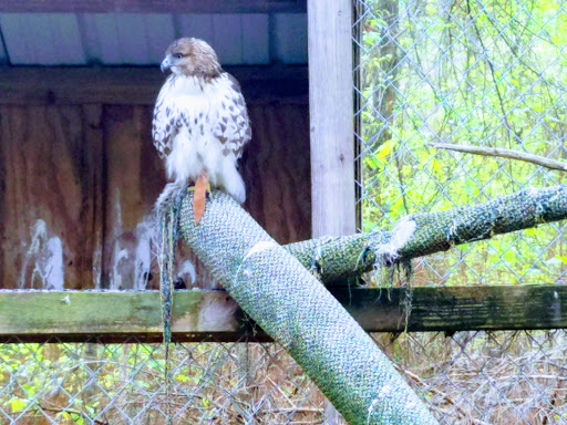 State Park «Natchez Trace State Park», reviews and photos, 24845 Natchez Trace Rd, Wildersville, TN 38388, USA