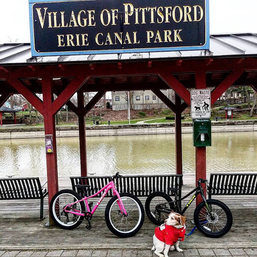 Bicycle Store «Towpath Bike», reviews and photos, 3 Schoen Pl, Pittsford, NY 14534, USA