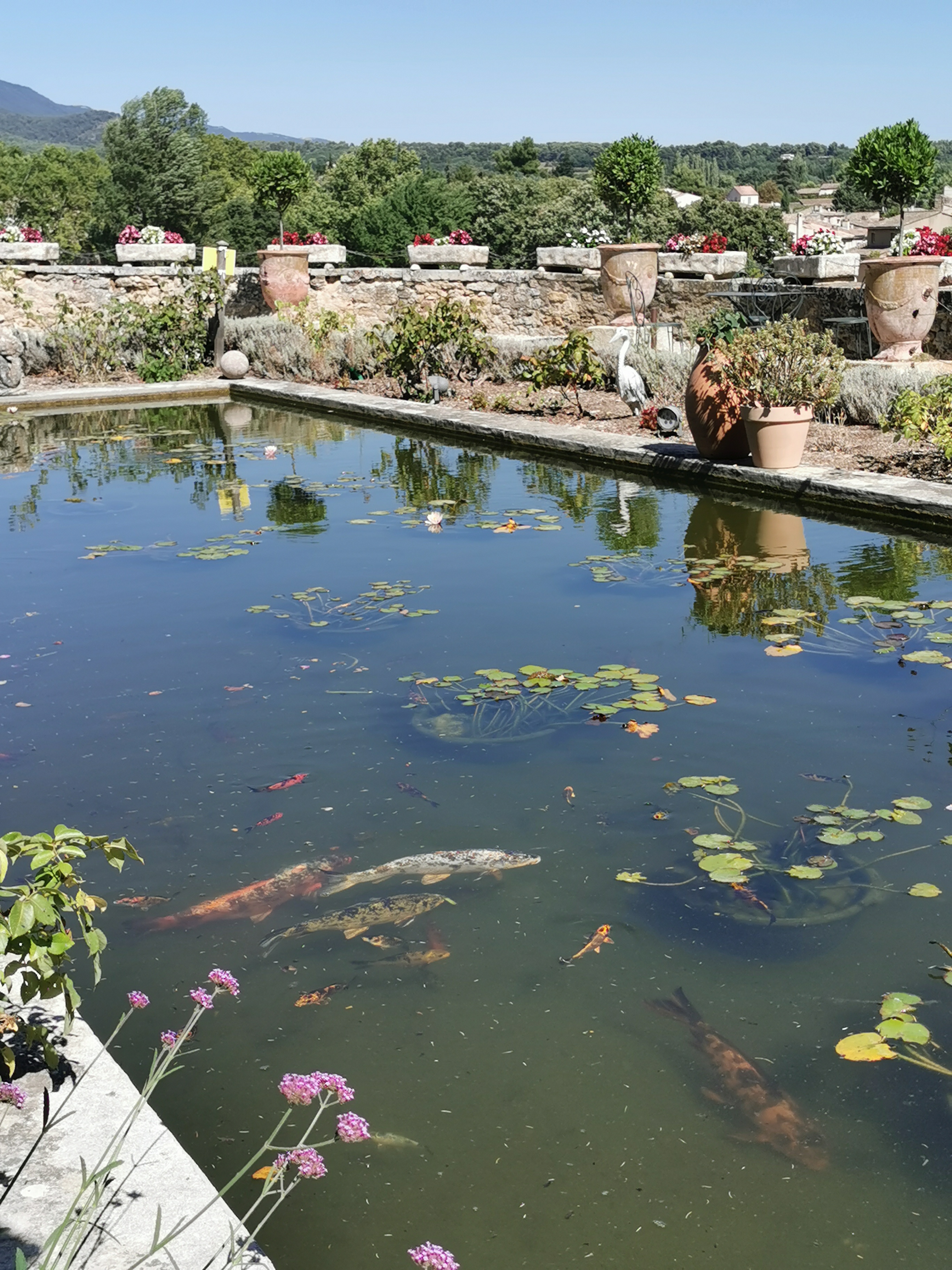 Photo n° 13 de l'avis de Marine.r fait le 30/08/2021 à 04:15