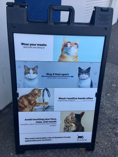 Thrift Store «Pick of the Litter Thrift and Gift Shop», reviews and photos