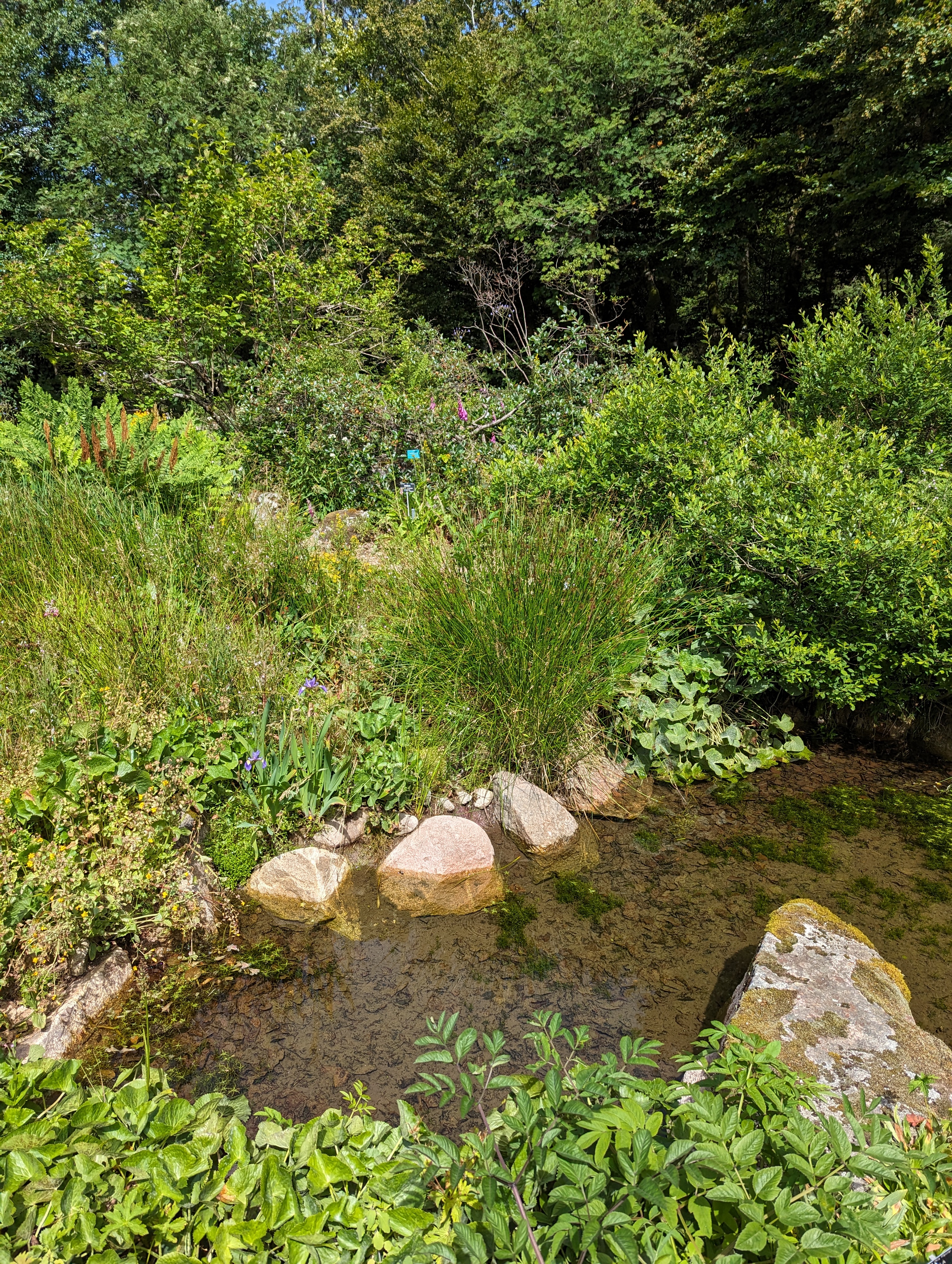 Photo n° 1 de l'avis de Mathilde. fait le 16/07/2023 à 18:14