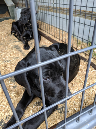 Animal Feed Store «Remnant Farms Feed & Supply», reviews and photos, 1501 Guild Rd, Woodland, WA 98674, USA