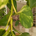 Photo n°2 de l'avis de Regards.h fait le 13/04/2022 à 16:12 sur le  Green kitchen à Treviso