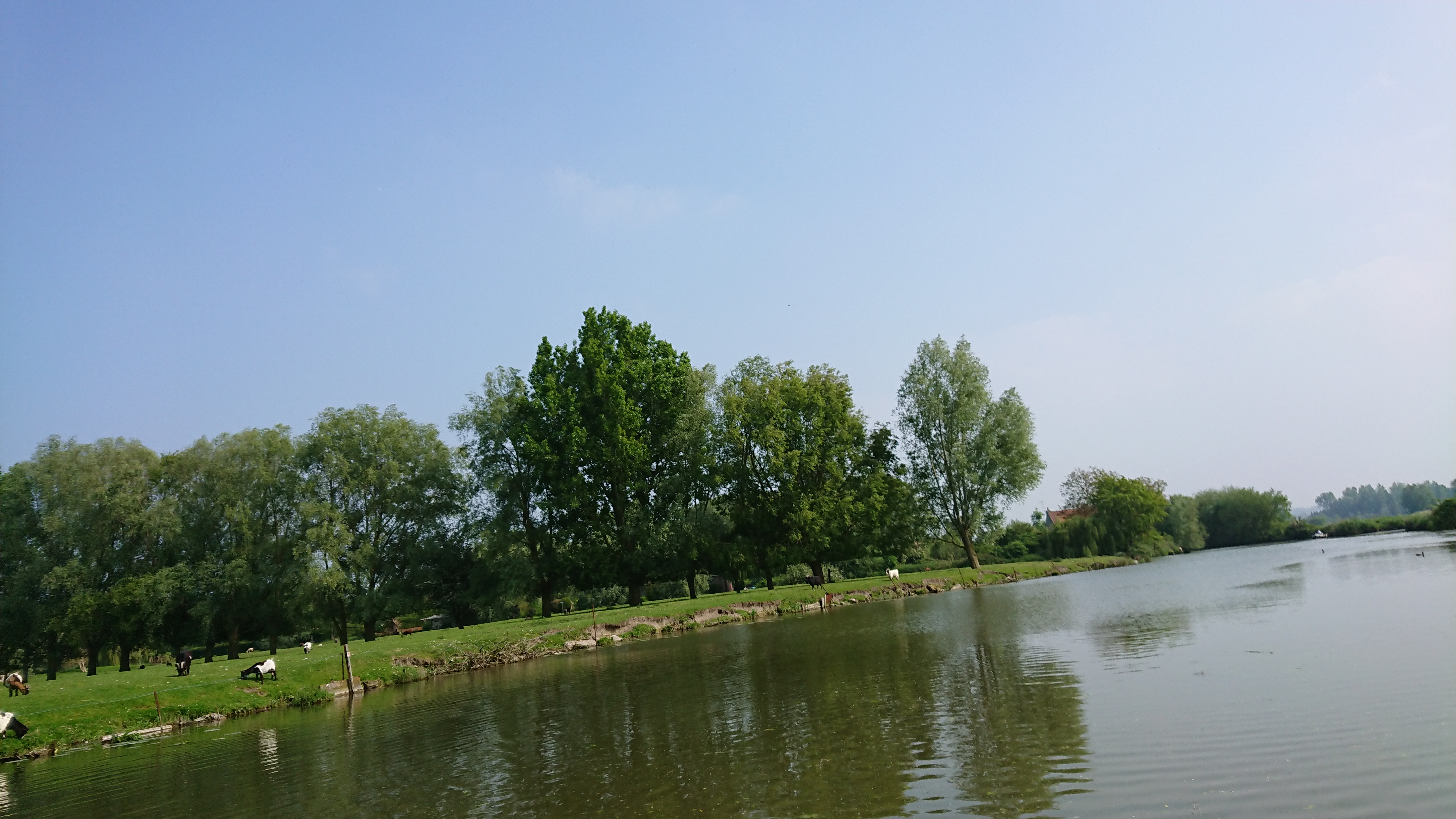 Photo n° 36 de l'avis de Perso.e fait le 20/05/2018 à 16:43