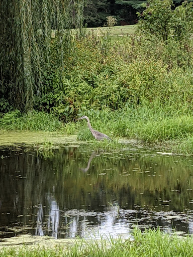 Golf Club «Oak Ridge Golf Club», reviews and photos, 850 S Westfield St, Feeding Hills, MA 01030, USA