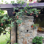 Photo n°1 de l'avis de Flavia.a fait le 09/08/2021 à 11:13 sur le  B&b Le Botteron à Vurvian