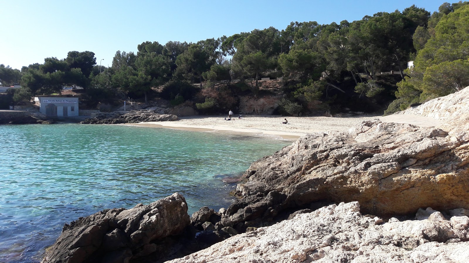Playa de Illetes 2的照片 带有碧绿色纯水表面