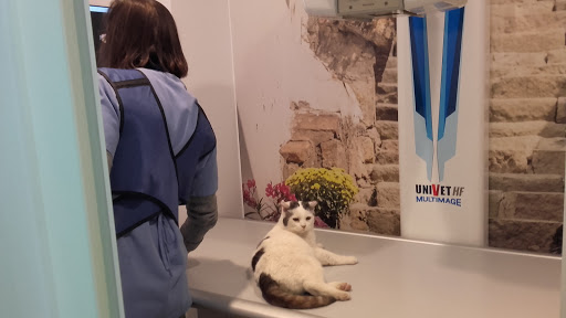 Clínica Veterinaria Pirineos en Barbastro