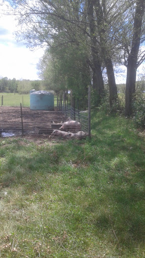 Produce Market «Natura Farms», reviews and photos, 19060 Manning Trail N, Marine on St Croix, MN 55047, USA