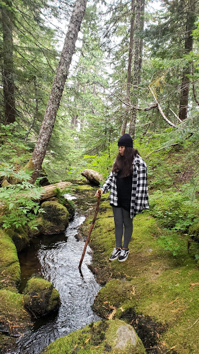 Park «Viewpoint Park», reviews and photos, 134th & NE 24th Street, Bellevue, WA 98005, USA