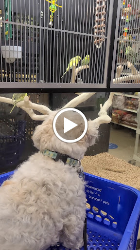 Pet Supply Store «PetSmart», reviews and photos, 4004 US-130, Delran, NJ 08075, USA