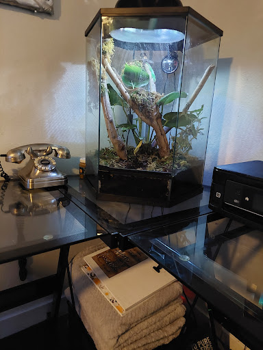 Pet Supply Store «PetSmart», reviews and photos, 16257 N Scottsdale Rd, Scottsdale, AZ 85254, USA