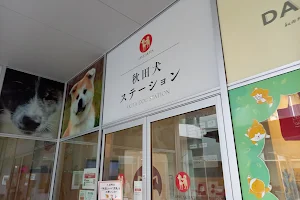 Akita Dog Station image