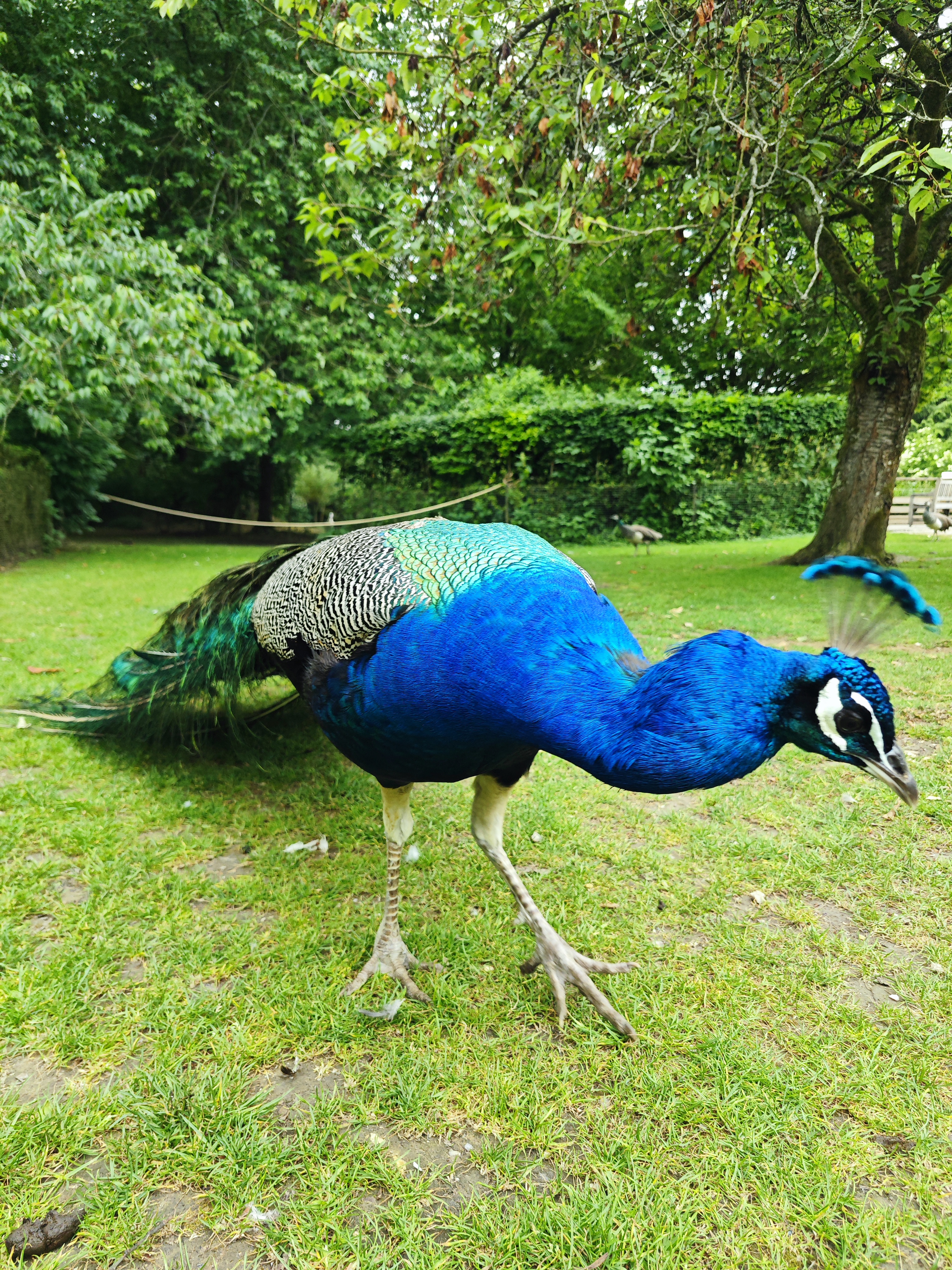 Photo n° 2 de l'avis de Maxime.i fait le 11/06/2023 à 16:19