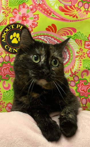 Pet Boarding Service «About Pets Center», reviews and photos, 1604 Conehurst Blvd, Salem, VA 24153, USA