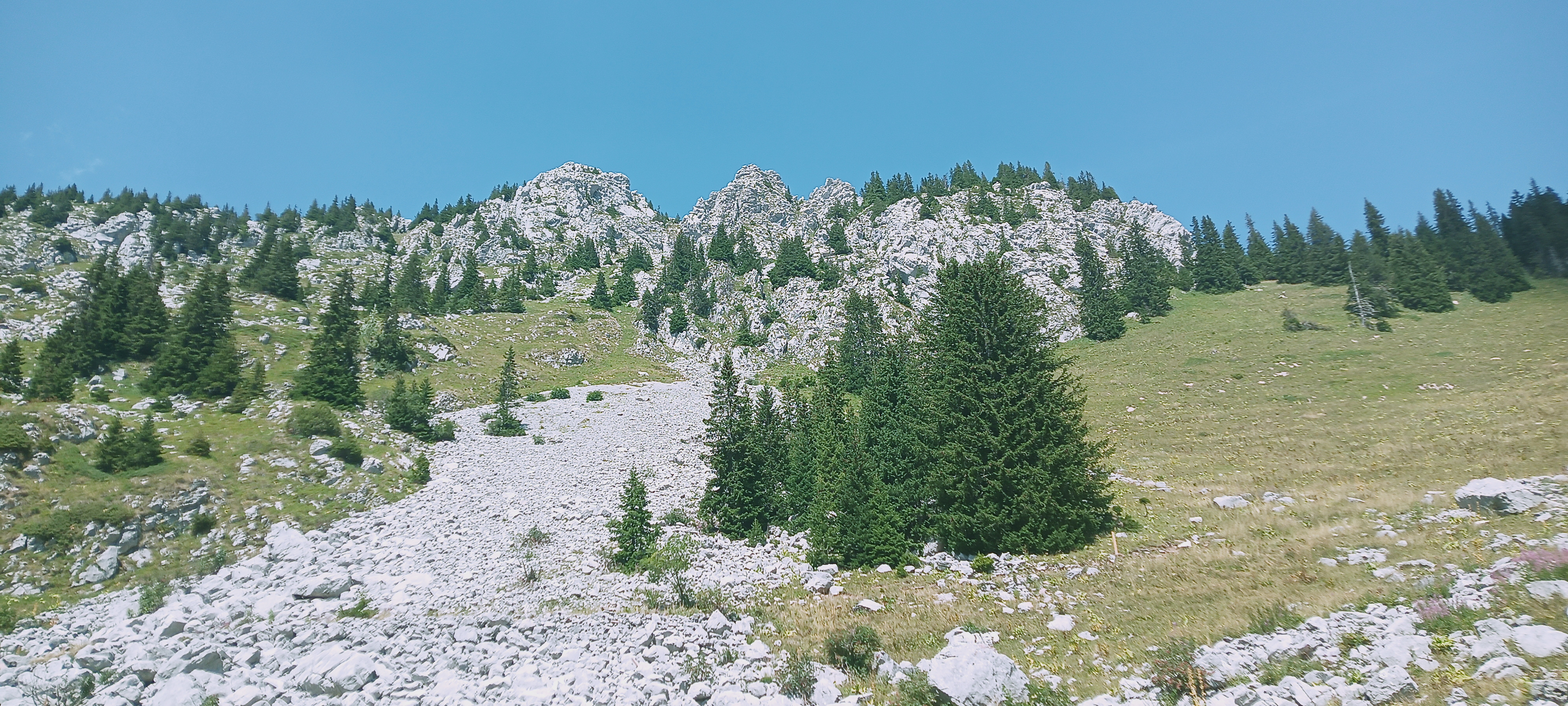 Photo n° 4 de l'avis de bruno63.e fait le 12/08/2022 à 20:16