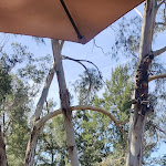 Photo n°3 de l'avis de Joana.e fait le 22/02/2024 à 18:36 sur le  Oliver Restaurante Brasileiro à Portimão