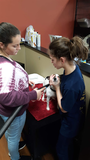 Pet Supply Store «Pet Valu», reviews and photos, 34282 Center Ridge Rd, North Ridgeville, OH 44039, USA