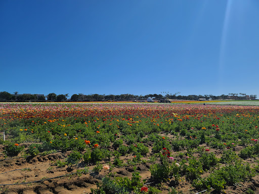 Shopping Mall «Carlsbad Premium Outlets», reviews and photos, 5620 Paseo Del Norte, Carlsbad, CA 92008, USA