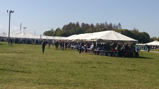 Stadium «Raymond James Stadium», reviews and photos, 4201 N Dale Mabry Hwy, Tampa, FL 33607, USA