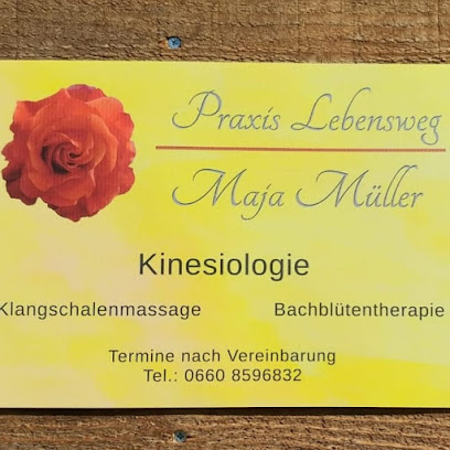 Praxis Lebensweg Maja Willburger Kinesiologie Vorarlberg