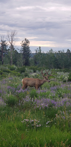 Golf Club «The Club at Cordillera - Summit Course», reviews and photos, 190 Gore Trail, Edwards, CO 81632, USA
