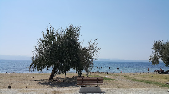 Camlibel beach