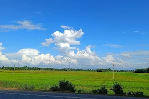 Balipathar Rice Fields image