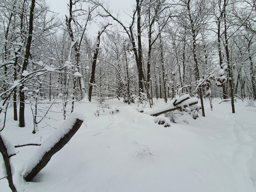 Park «Mills Reservation County Park», reviews and photos, Highland Ave, Cedar Grove, NJ 07009, USA