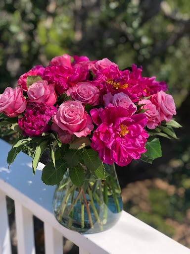 Florist «Frangipani Flowers & Gifts», reviews and photos, 1203 4th St, San Rafael, CA 94901, USA