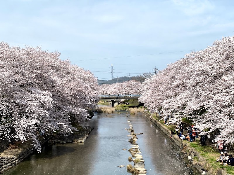 美祢さくら公園 山口県美祢市大嶺町東分 公園 公園 グルコミ