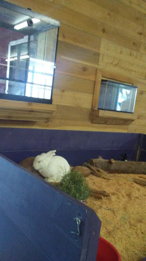 Zoo «Jozee Rooz Indoor Petting Zoo», reviews and photos, 120 138th St S, Tacoma, WA 98444, USA