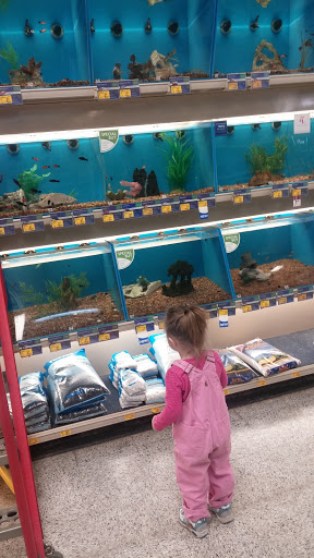 Pet Supply Store «PetSmart», reviews and photos, 351 Loucks Rd, York, PA 17404, USA