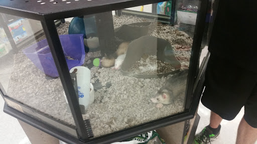 Pet Supply Store «Petco Animal Supplies», reviews and photos, 200 Edwards Blvd b, Lake Geneva, WI 53147, USA