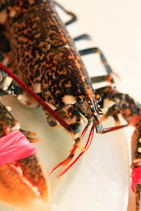 Photos du propriétaire du Restaurant gastronomique Loulou Côte Sauvage à Les Sables-d'Olonne - n°14