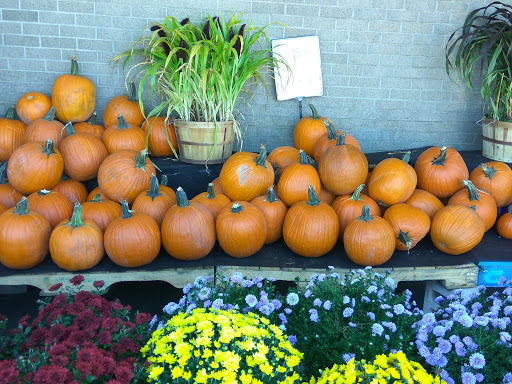 Supermarket «Stop & Shop», reviews and photos, 56 Shank Painter Rd, Provincetown, MA 02657, USA