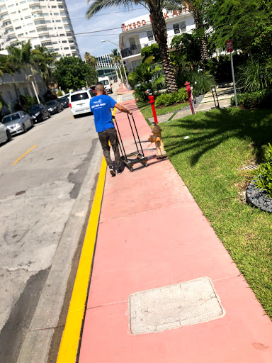 Moving Company «Pro Miami Movers», reviews and photos, 475 Brickell Ave, Miami, FL 33131, USA