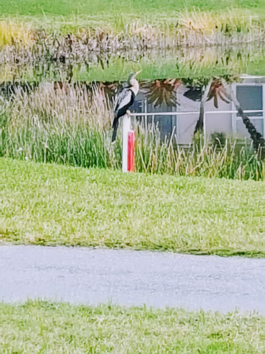 Country Club «Ironhorse Country Club», reviews and photos, 8055 Ironhorse Blvd, West Palm Beach, FL 33412, USA