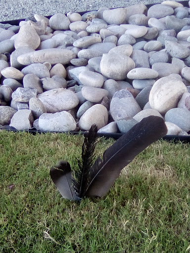 Park «Trammell Crow Park», reviews and photos, 3700 Sylvan Ave, Dallas, TX 75207, USA