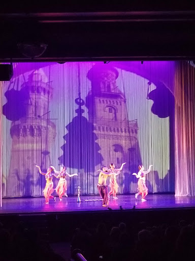 Performing Arts Theater «Boch Center - Shubert Theatre», reviews and photos, 265 Tremont St, Boston, MA 02116, USA