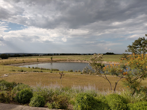 Event Venue «Kairos The Celebration Barn», reviews and photos, 1213 Kott Rd, Fredericksburg, TX 78624, USA