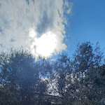 Photo n°6 de l'avis de Maria.r fait le 27/03/2023 à 15:31 sur le  Vannulo mozzarelle à Capaccio Scalo