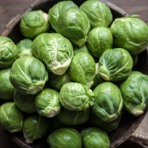 Grocery Store «Rays Food Place», reviews and photos, 1555 Oregon St, Port Orford, OR 97465, USA