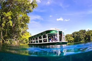 Glass Bottom Boat Tours at Silver Springs image