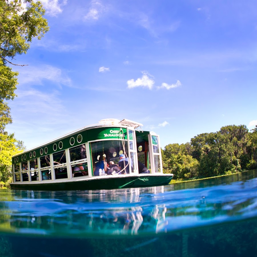 Glass Bottom Boat Tours at Silver Springs