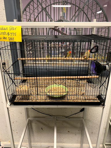 Pet Store «Animart Pets», reviews and photos, 2813 Veterans Memorial Hwy SW, Austell, GA 30168, USA