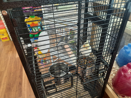 Pet Supply Store «Pet Supermarket», reviews and photos, 2800 Raeford Rd, Fayetteville, NC 28303, USA