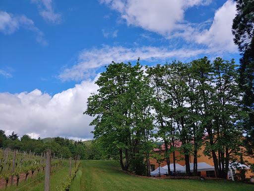 Winery «Apolloni Vineyards», reviews and photos, 14135 NW Timmerman Rd, Forest Grove, OR 97116, USA