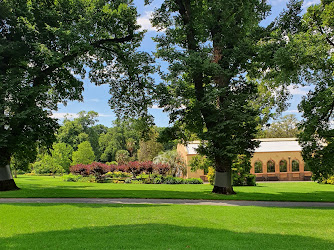 Eye and Ear on the Park